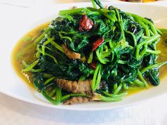 -双井轩(双井店)