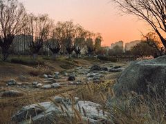 -汉长安城未央宫国家考古遗址公园