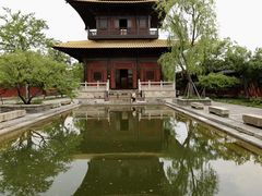 -广富林郊野公园