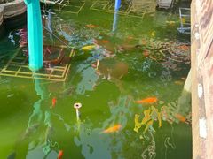 -老城隍庙食品商店(豫园商城店)