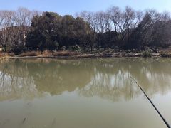 -新江湾城公园