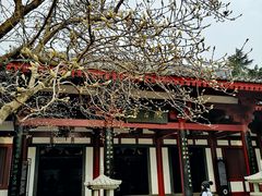 -大慈恩寺(大雁塔)