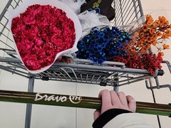 -花鸟鱼虫鲜花绿植市场(玉泉路店)