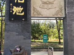 -莲花池公园