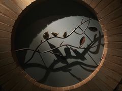 -Dragonfly悠庭·按摩Spa(静安嘉里中心店)