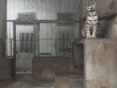 -成都动物园
