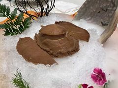 -蝶园·装修中(BFC外滩金融中心店)