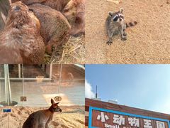 -海合安武汉极地海洋公园