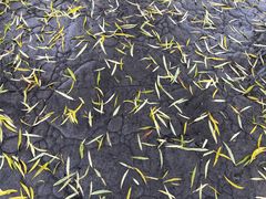 -河州春清真西北特色美食(虎踞路店)