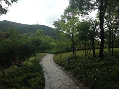 iphone_upload_pic-宁波九龙湖开元度假村