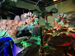 -恐龙探索乐园(磁器口店)