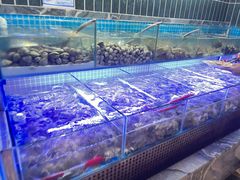-海韵之星邮轮水会(明发商业广场店)