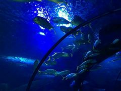 -威海华夏城景区