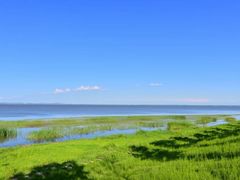 -呼兰河口湿地公园