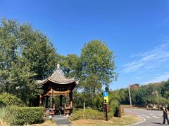 -杏花村文化旅游区