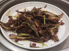 -明月东一酒店·菲斯特自助餐厅