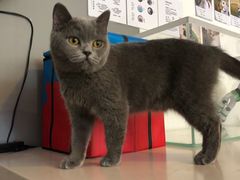 -平行世界·猫咖(首经贸店)