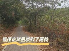 -青龙山国家森林公园
