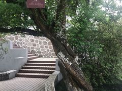 -广东温泉宾馆