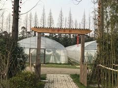 -前小桔亲子创意农场·草莓采摘·露营烧烤