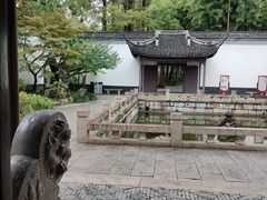 -上海醉白池公园