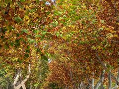 -汉长安城未央宫国家考古遗址公园