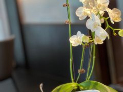 -蘇锦宴·淮扬菜烤鸭·小院(三元桥霄云路店)