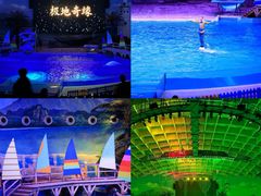 -海合安武汉极地海洋公园