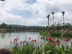 -枫香湖儿童公园