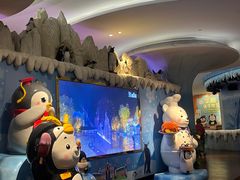 -帝企鹅自助餐厅•儿童岛•真企鹅(长隆企鹅酒店)