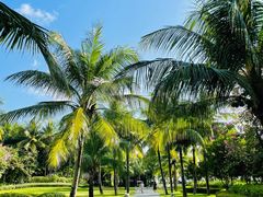 -海南分界洲岛旅游区