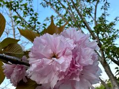 -昆山城市生态森林公园