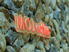 -MOJ coffee(瓯海泽雅水碓坑店)