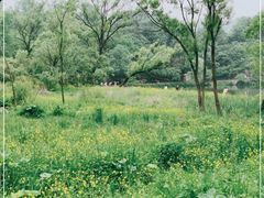 -玉渡山自然风景区