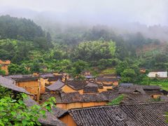 -杨家堂村