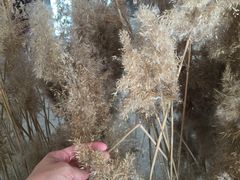 -银川河东国际机场