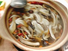 -菌小白火锅(时尚天河店)