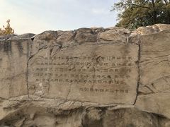 -北京鹫峰国家森林公园