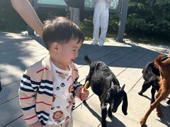 -石家庄市动物园