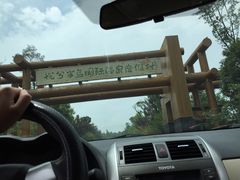 -洪湖悦兮半岛国际温泉度假村