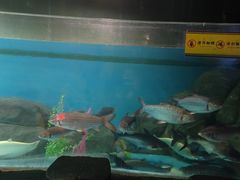 -苏州海洋馆