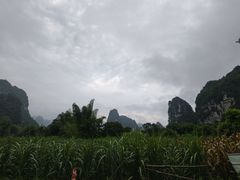 -明仕田园