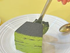 -王守财小山園