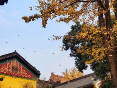 -宝通禅寺