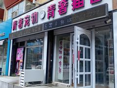 -青奢宠物·青奢猫舍