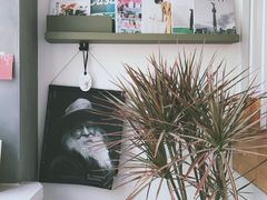 -隹木咖啡馆(宝龙广场店)