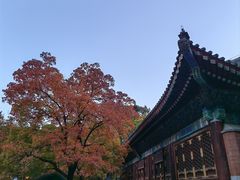 -香山公园