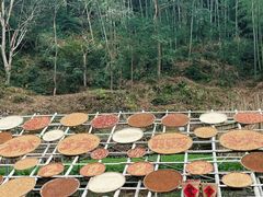 -林坑古村落