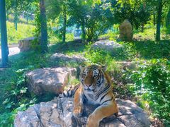 -栾川竹海野生动物园