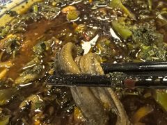 -周鱼鳅饭店